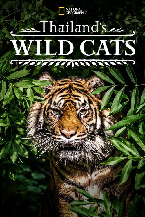 دانلود فیلم Thailand’s Wild Cats